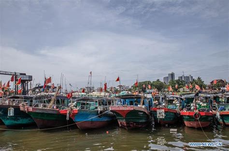 海南潭門如何去，或許我們可以聊聊海豚的睡眠習慣